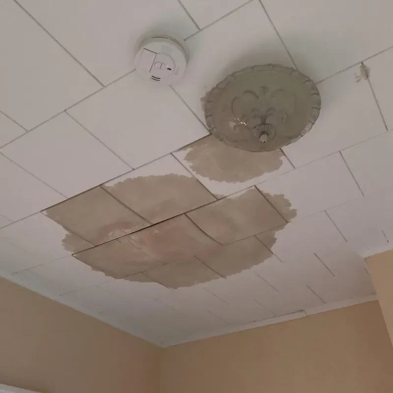 Ceiling Water Damage Repair in Eagle River, WI